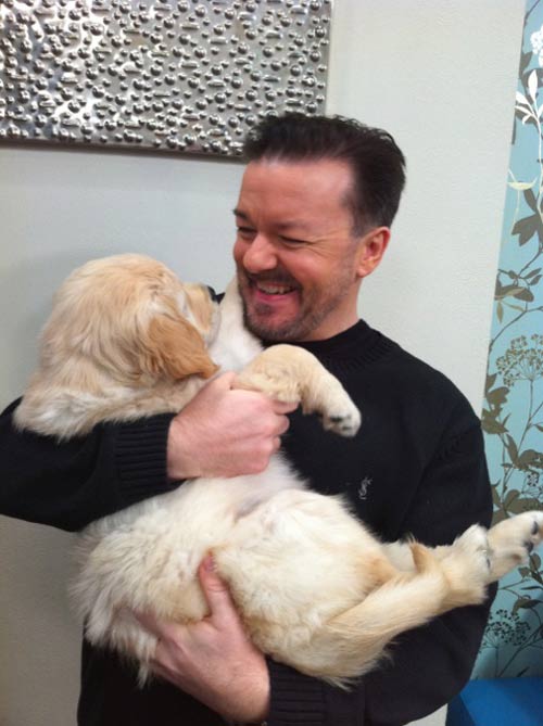 Ricky Gervais' Twitter-famous cat Ollie dies aged 16 - NZ Herald